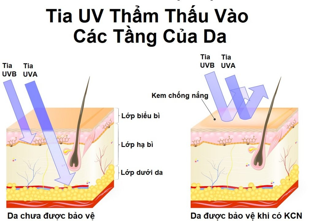 cach su dung kem chong nang phat huy toi da cong dung hinh anh 1