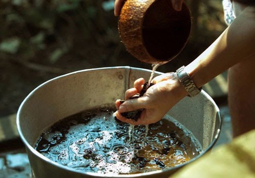 Cách nấu bồ kết gội đầu giúp tóc sạch gàu, óng mượt và ngừa rụng tóc